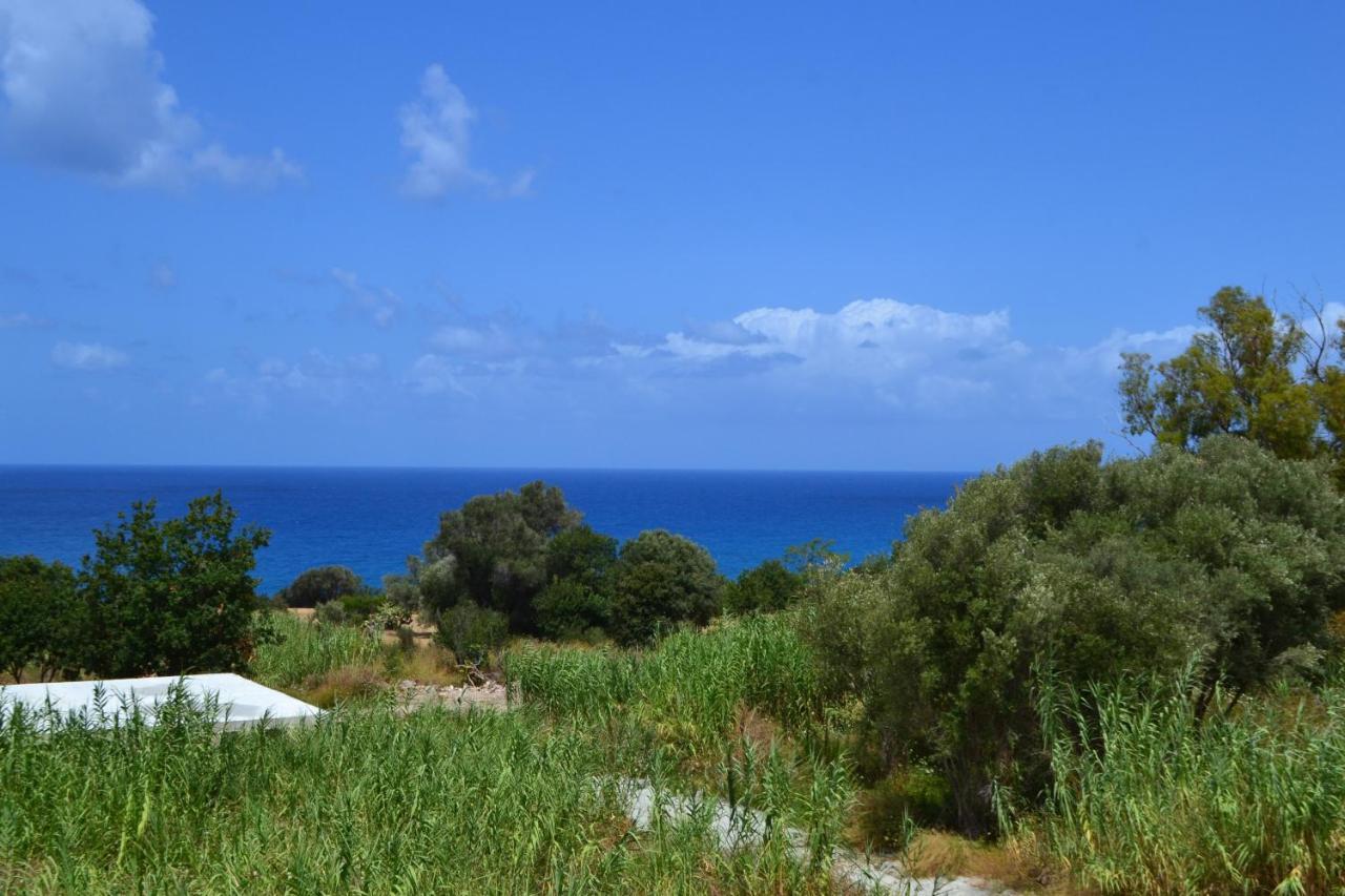 Campus Dei - Tropea Rooms מראה חיצוני תמונה