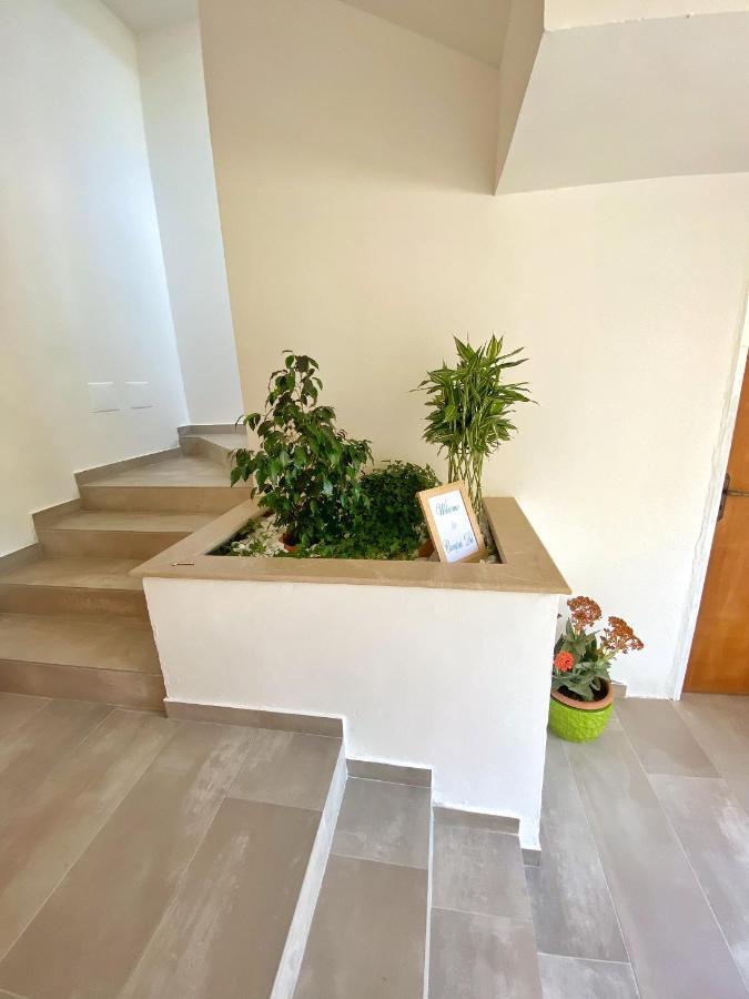 Campus Dei - Tropea Rooms מראה חיצוני תמונה